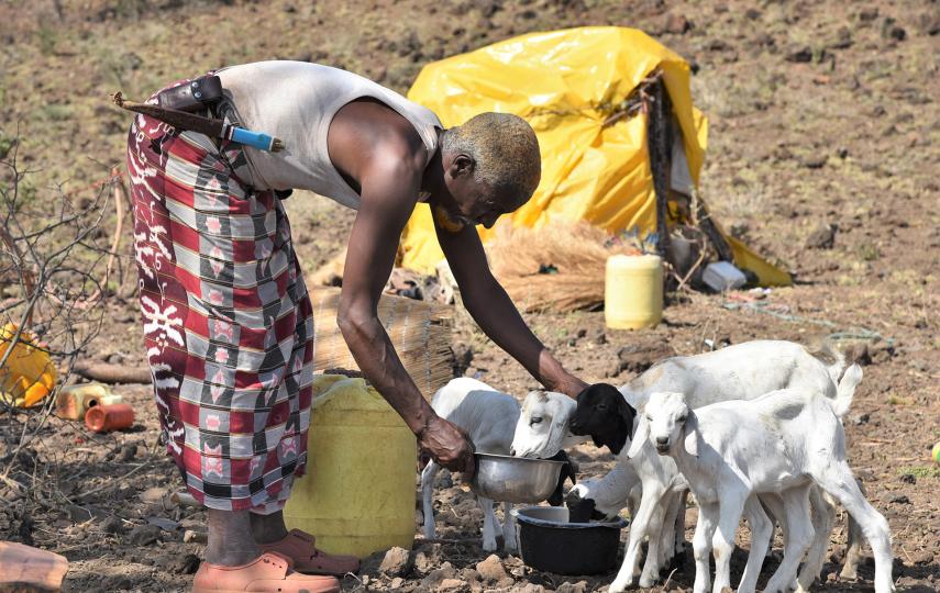 Small-Scale IrrigationTthe Key To Saving Kenya's Pastoralism Livelihoods.